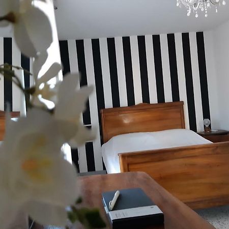 巴多拉托斯塔兹翁Casa Annunziata, Borgo E Mare A Badolato别墅 外观 照片